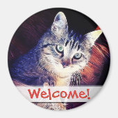 Aimant Kitty Dans Les Rafters Gros Plan Photo (Devant)