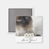Aimant Kitty de Blue Eye (Recto/Verso)