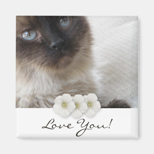 Aimant Kitty de l'oeil bleu
