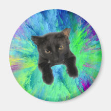 Kitty pour tenir les papiers au réfrigérateur