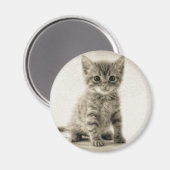 Aimant Kitty tigré (Recto/Verso)