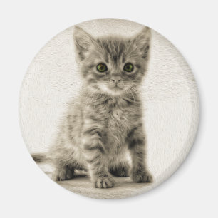 Aimant Kitty tigré