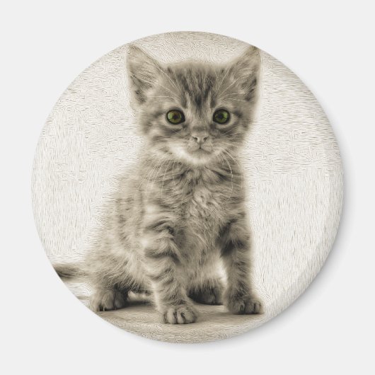 Aimant Kitty tigré (Devant)