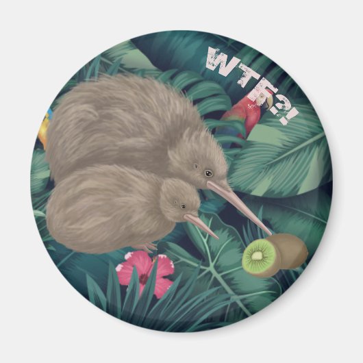 Aimant Kiwi (Devant)