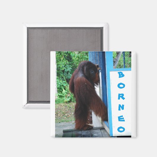 Aimant Knock Quartier Amis Borneo (Recto/Verso)