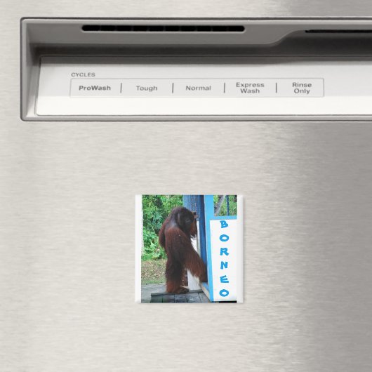 Aimant Knock Quartier Amis Borneo (In Situ (Lave-vaisselle))