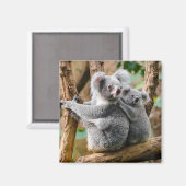 Aimant Koala avec bébé dans un arbre en Australie (Recto/Verso)