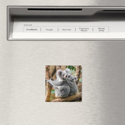 Aimant Koala avec bébé dans un arbre en Australie (In Situ (Lave-vaisselle))