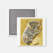 Aimant Koala Bear (Recto/Verso)