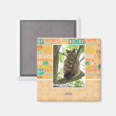 Aimant Koala Kitteh (Recto/Verso)