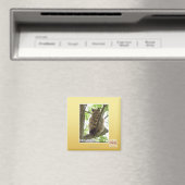 Aimant Koala Kitteh (In Situ (Lave-vaisselle))