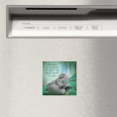Aimant Koala Nap (In Situ (Lave-vaisselle))
