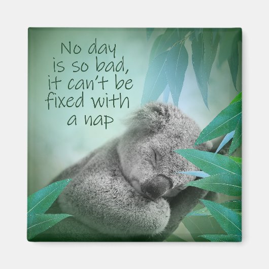 Aimant Koala Nap (Devant)