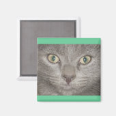 Aimant Kohl Grey Kitty Face (Recto/Verso)
