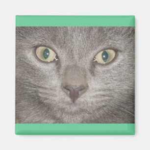 Aimant Kohl Grey Kitty Face
