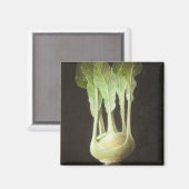 Aimant Kohl Rabi 2012 (Recto/Verso)