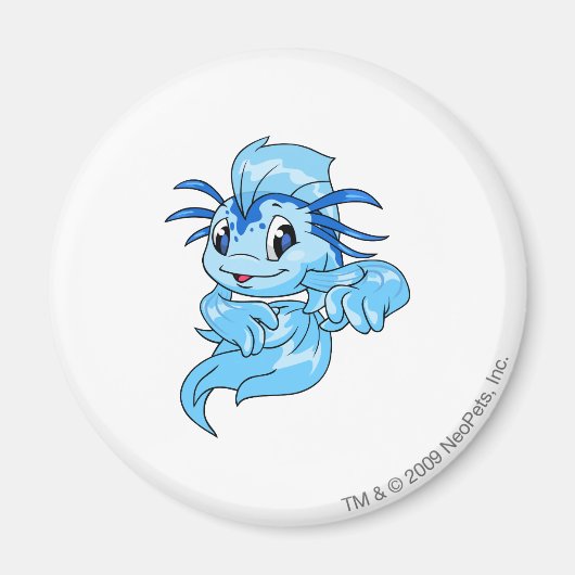 Aimant Koi Blue (Devant)