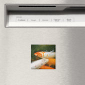 Aimant Koi Fish (In Situ (Lave-vaisselle))
