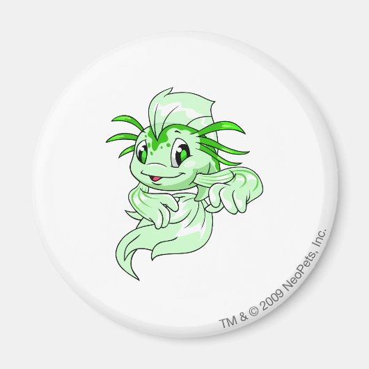 Aimant Koi Green (Devant)