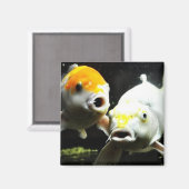 Aimant Koi Photographie (Recto/Verso)