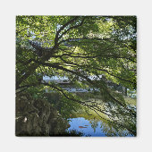 Aimant Koi Pond (Devant)