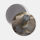 Aimant Komodo Dragon Licking (Recto/Verso)