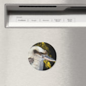 Aimant Kookaburra, aile bleue australienne, (In Situ (Lave-vaisselle))