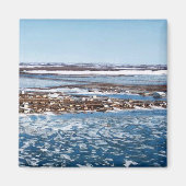 Aimant Kotzebue (Devant)