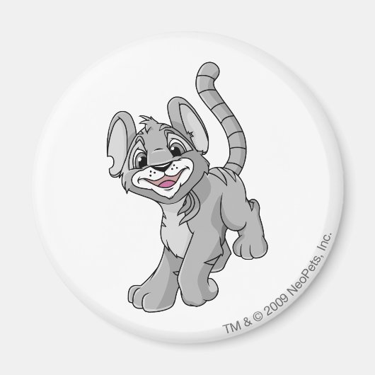 Aimant Kougra Silver (Devant)