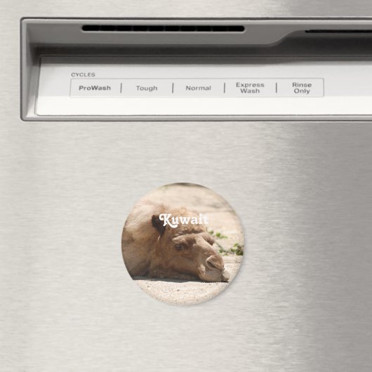 Aimant Koweït Camel (In Situ (Lave-vaisselle))