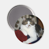 Aimant Kramer (Recto/Verso)