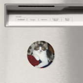 Aimant Kramer (In Situ (Lave-vaisselle))