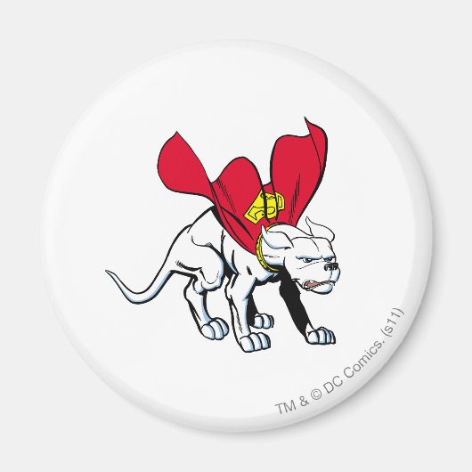 Aimant Krypto Growls (Devant)