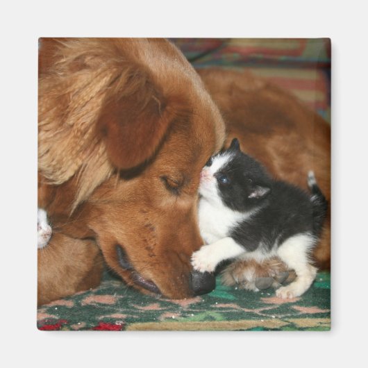 Aimant La baby-sitter (Devant)