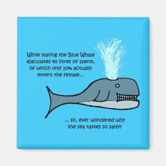 Aimant La baleine bleue... (Devant)