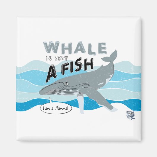Aimant La baleine n'est pas un poisson (Devant)