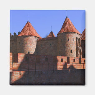 Aimant La Barbade, Varsovie, Pologne