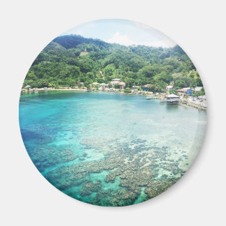 Aimant La barrière de corail de Grand Cayman