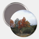 Aimant La beauté automnale.... (Recto/Verso)