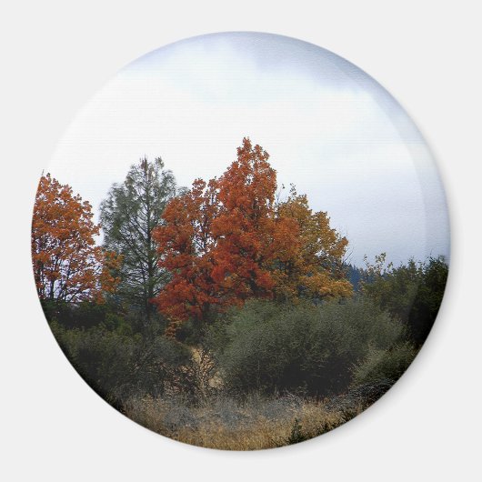 Aimant La beauté automnale.... (Devant)