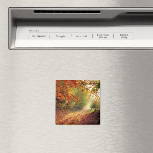 Aimant La beauté de l'automne (In Situ (Lave-vaisselle))