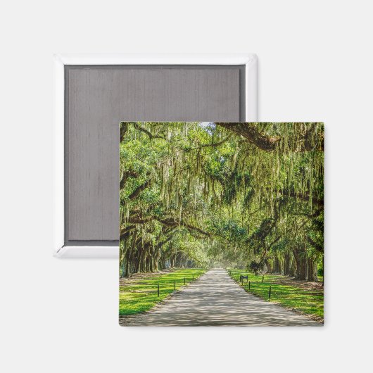 Aimant La Belle Avenue Des Chênes (Recto/Verso)