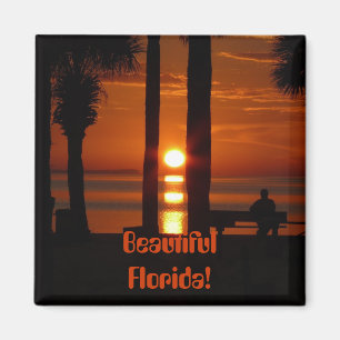 Aimant La belle Floride !