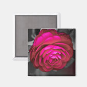 Aimant La Camélia rose (Recto/Verso)