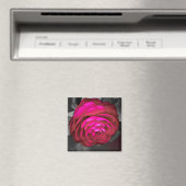 Aimant La Camélia rose (In Situ (Lave-vaisselle))