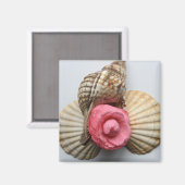 Aimant La Camellie Et Les Coquilles (Recto/Verso)