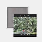 Aimant La célèbre avenue Magnolia (Recto/Verso)