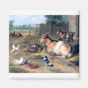 Aimant La chèvre de ferme badine des pigeons