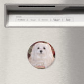 Aimant La chute de neige maltaise (In Situ (Lave-vaisselle))