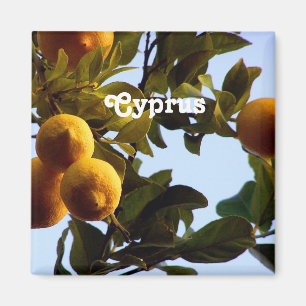 Aimant La Chypre Lemon Grove